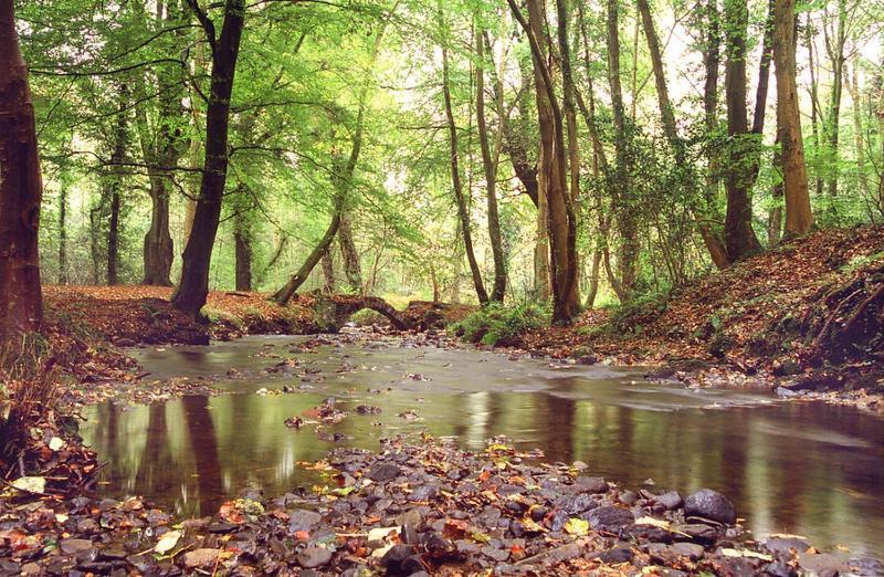 Awel Taf- Central Cottage Ideal For Families, With Parking St Clears Zewnętrze zdjęcie